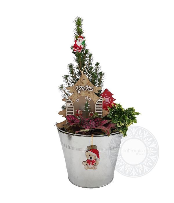 Μεταλλικός κουβάς με φυτά και γιορτινή διακόσμηση