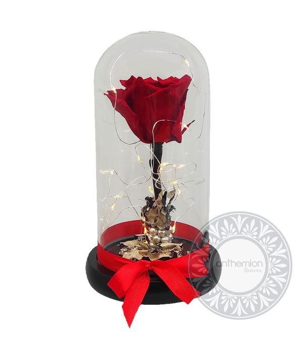 Red forever rose with lights (medium size)
