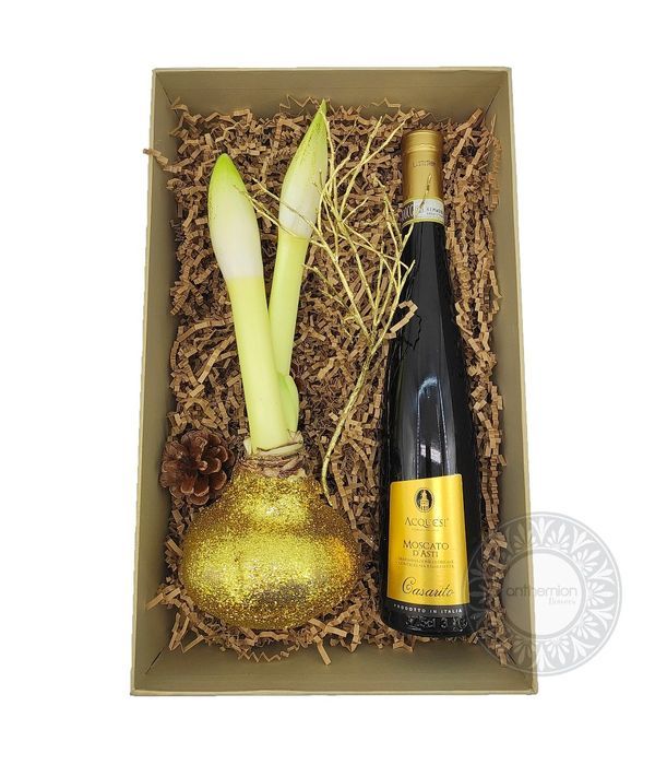 Amaryllis bulb and Moschato D'asti in a box