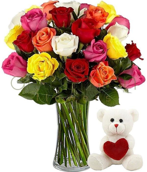 18 colorful roses with teddy bear