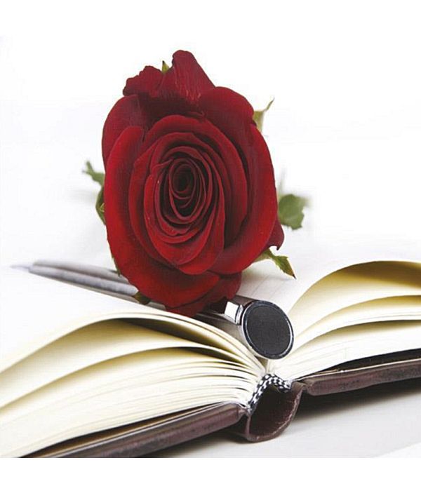 Ευχετήρια κάρτα με τριαντάφυλλο και βιβλίο