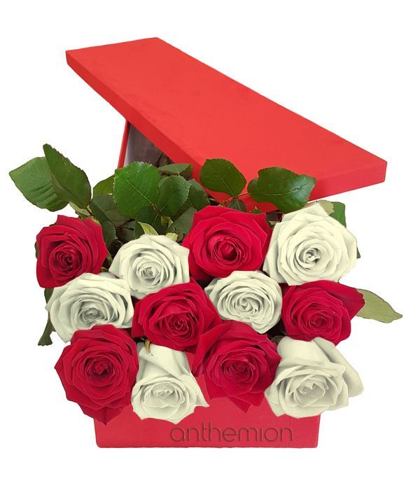 12 red and white roses in gift box