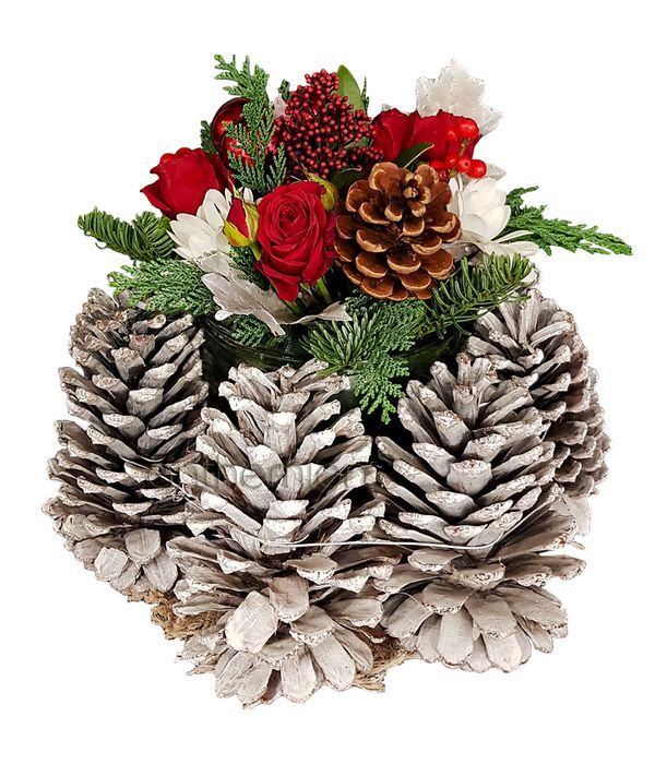 Pinecones and Christmas Flowers