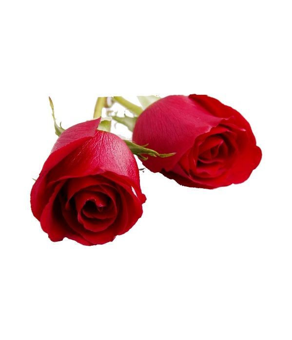 Send roses per stem to Greece