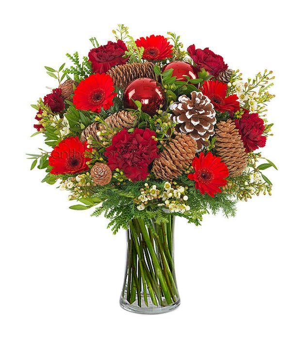 Red Bouquet with pine cones