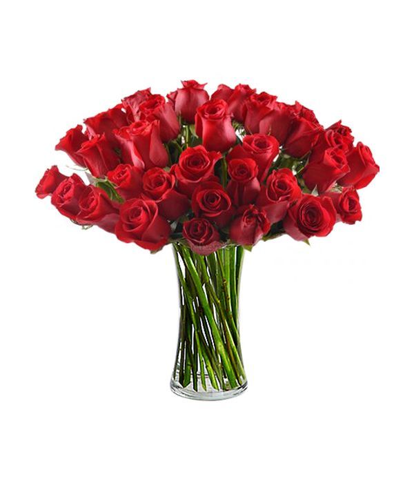 51 Red Passionated Roses