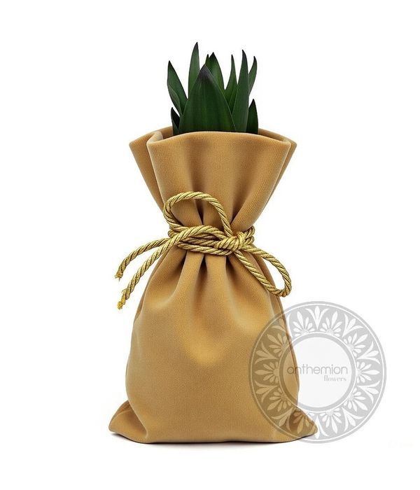 Onion charm for new year in burlap