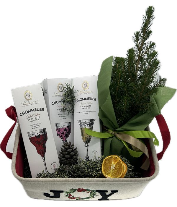 Χριστουγεννιάτικη σύνθεση με τρεις σοκολάτες και ένα φυτό 