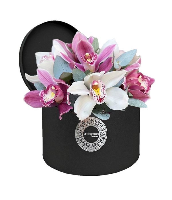 Orchids in black box