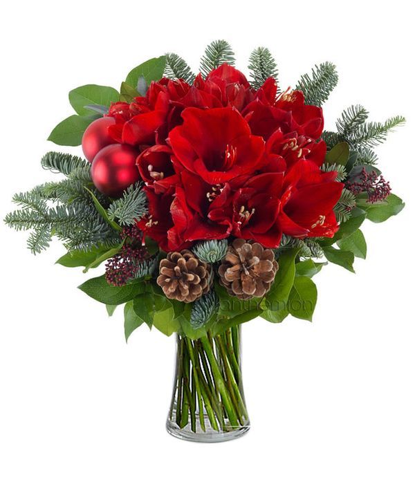 Festive bouquet with amaryllis and pine nuts