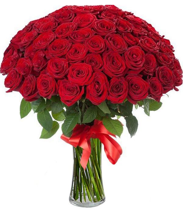 100 red rose love gesture