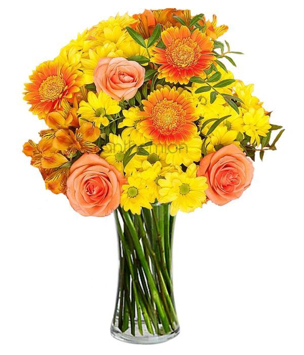 Ηλιαχτίδα με πορτοκαλί και κίτρινα λουλούδια