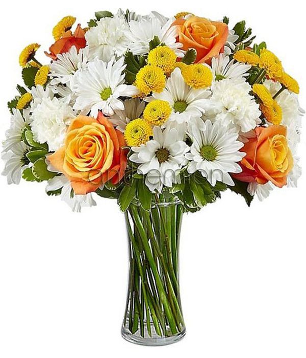Αλκμήνη με λευκά και κίτρινα λουλούδια