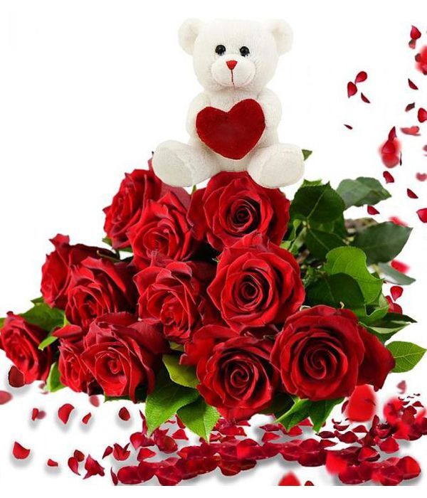 Bouquet of 12 red roses and teddy bear