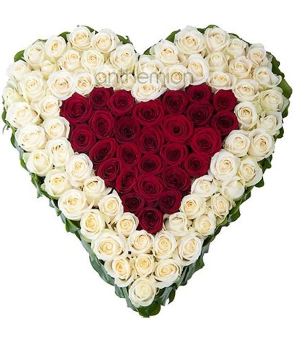 White and red roses in heart arrangement