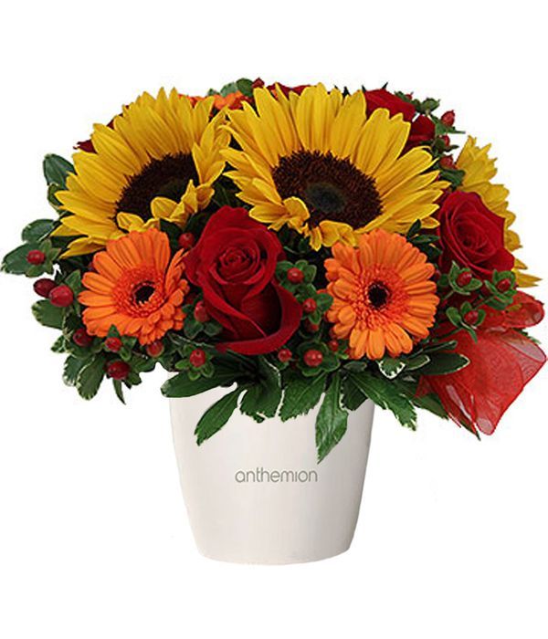 Sunflowers and Roses in Pot