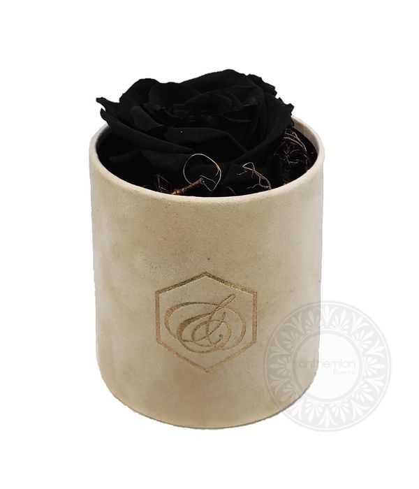 Black Forever rose in box