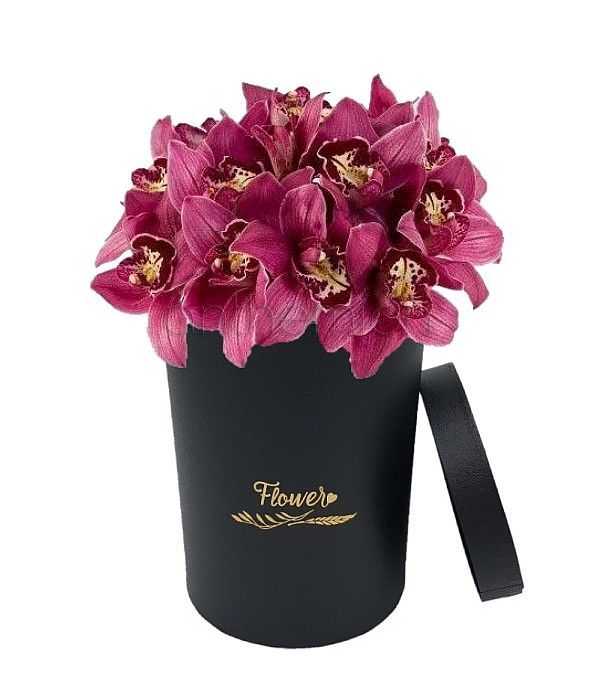 Exotic orchids in black box
