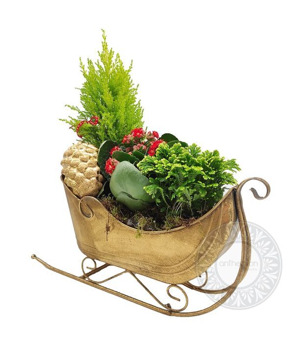 Metallic sleigh plant arrangement