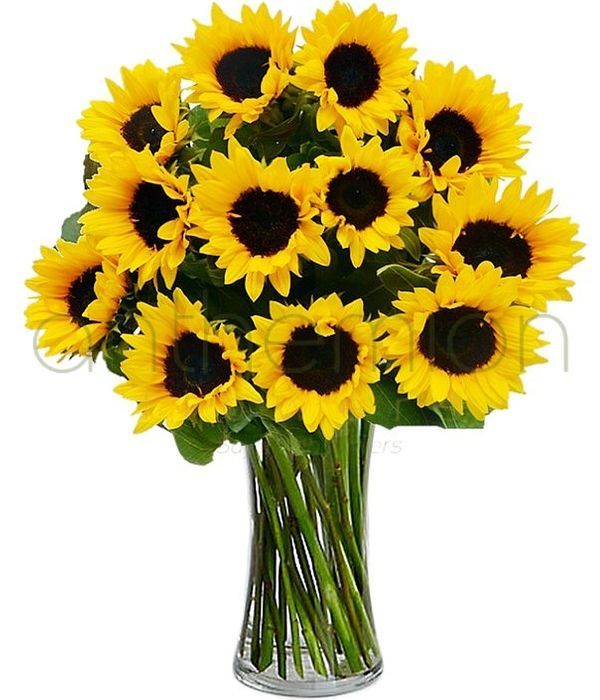 Classic sunflower bouquet