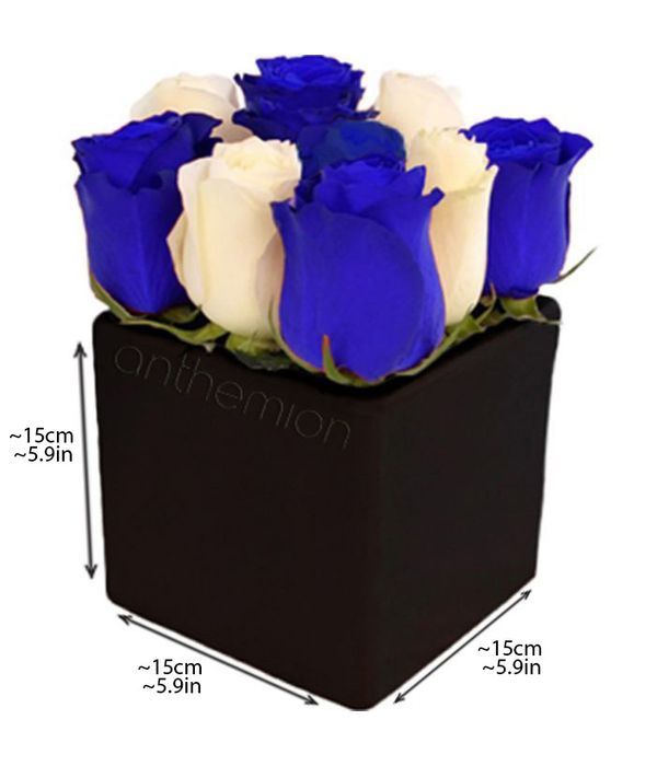 Blue and white roses in a cube