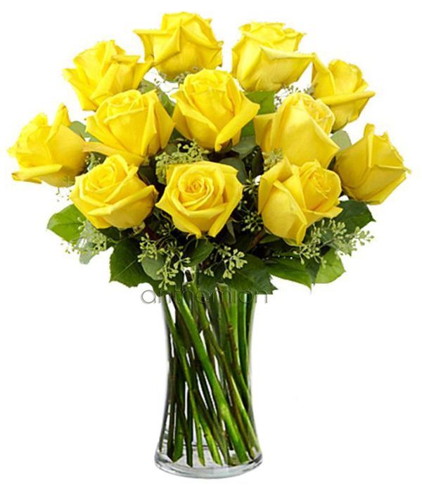 Bouquet of 12 yellow roses