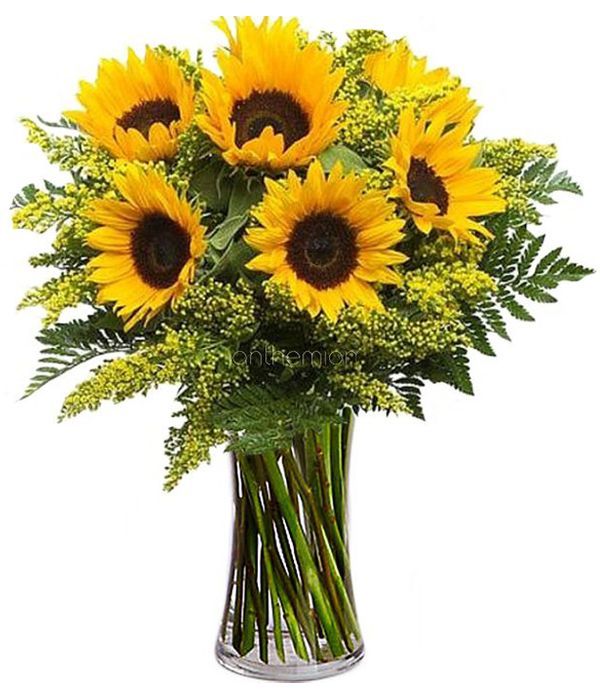Stunning Sunflowers | VASE IS NOT INCLUDED