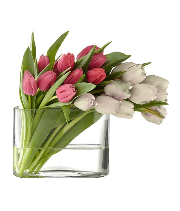 Γυάλινο βαζο με 20 τουλίπες σε δύο χρώματα - Μαζί με το Βάζο