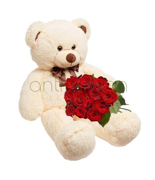 Red roses with beige teddy bear 45cm