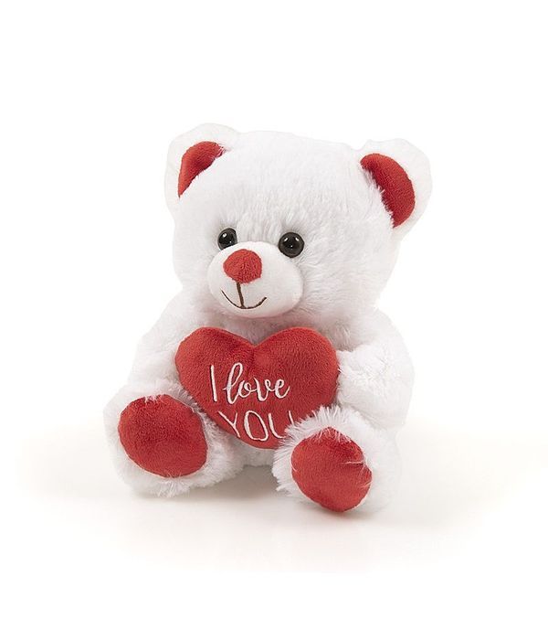 Teddy Bear for Love 20cm