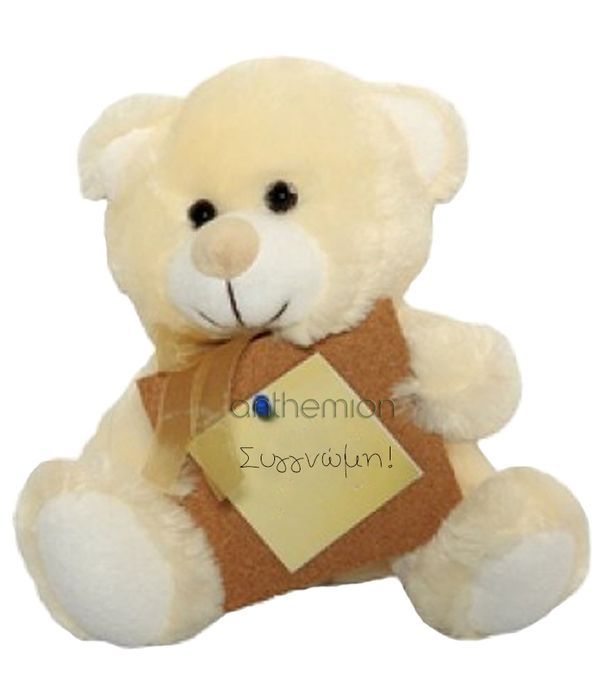 Teddy bear "I' am sorry'' 20cm