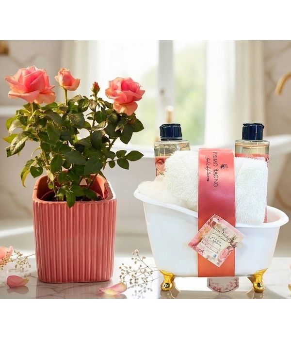 Ultimate Indulgence with rose scent and mini orchid plant 