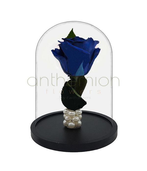 Μπλε παντοτινό τριαντάφυλλο (μικρό μέγεθος)