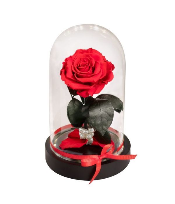 Festive forever rose with LED lights (Medium size)