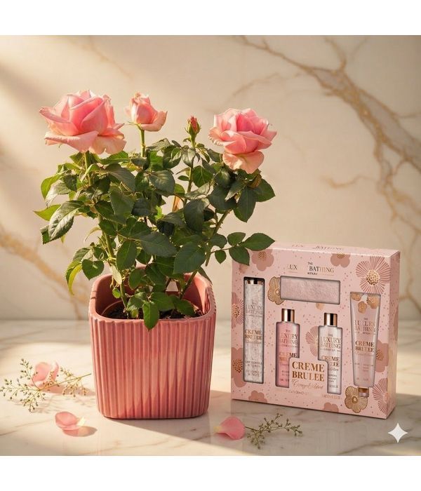 Body care gift set and pink rose tree
