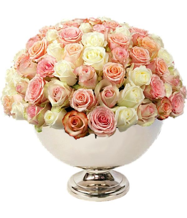 Arrangement of 100 gorgeous roses