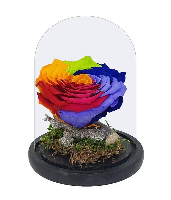 Colorful forever rose XL