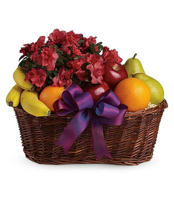 Fruit and Plant Gift Basket