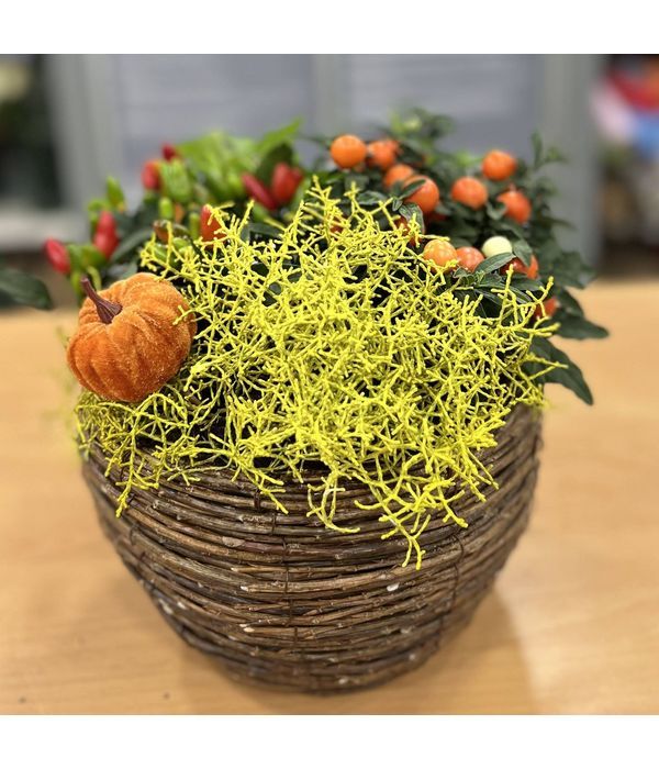 Basket with seasonal plants