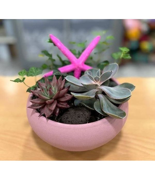 Ceramic pot in a pink color with succulent