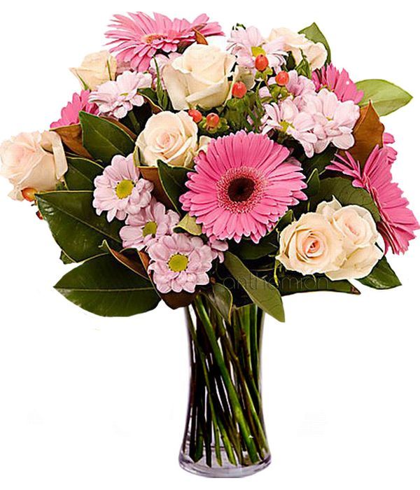 Sweet thoughts with pink gerberas