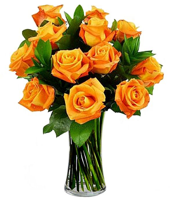 Πορτοκαλί τριαντάφυλλα για δώρο