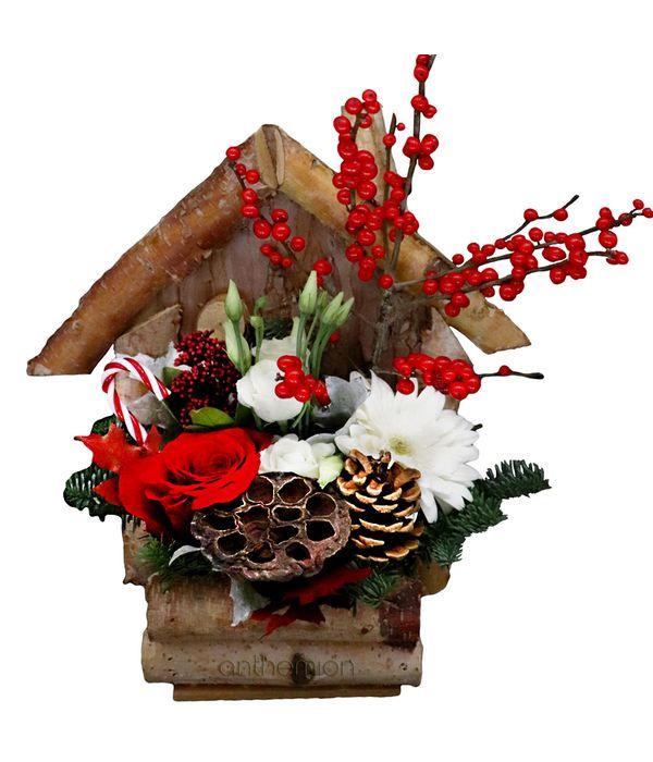 Bird house with Christmas arrangement