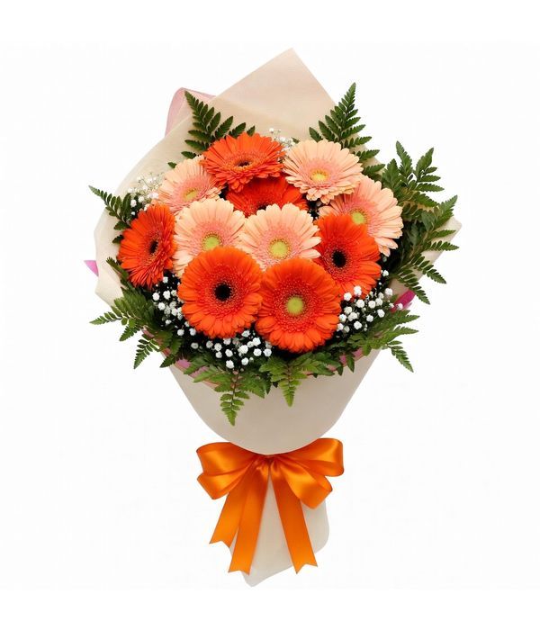 Ζέρμπερες σε πορτοκαλί και σομόν