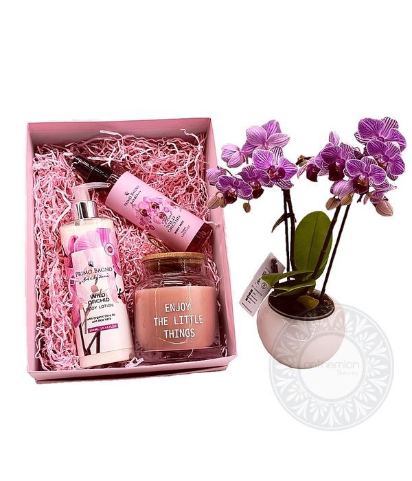 Wild Orchid Gift Set