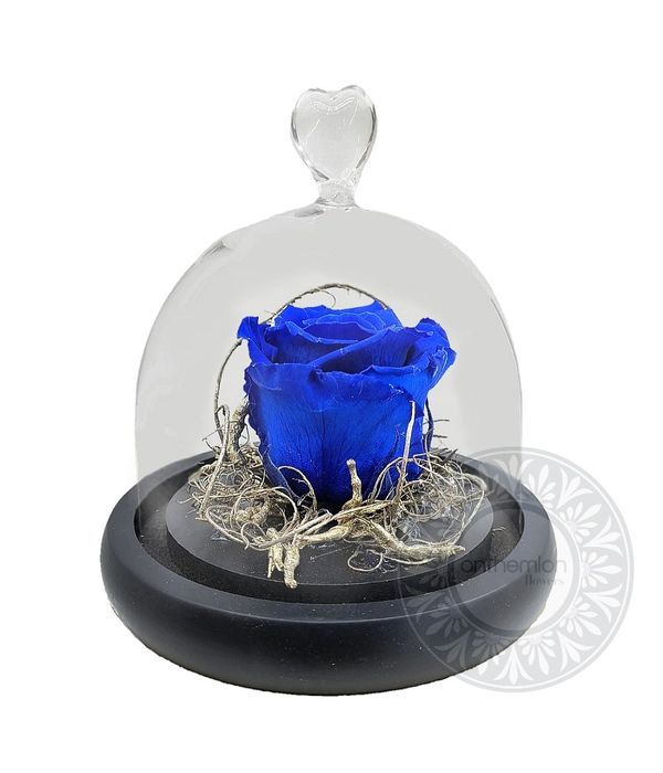 Blue forever rose in mini glass