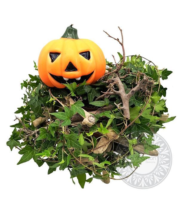 Wooden plant arrangement and decorative pumpkin