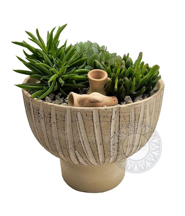 Ιδιαίτερη κεραμική σύνθεση με παχύφυτα