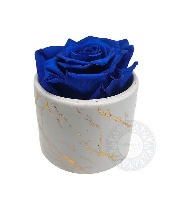 Μπλε Forever rose σε κεραμικό