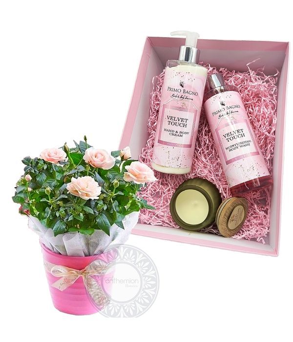 Σετ δώρου Velvet touch